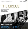 The Circus