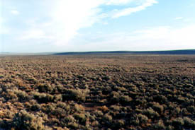 Great Basin Desert