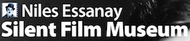 Niles Film Festivals