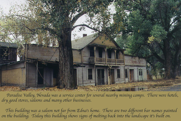 This is an old saloon in Paradise Valley Nevada located not far from edna purviance old home site.